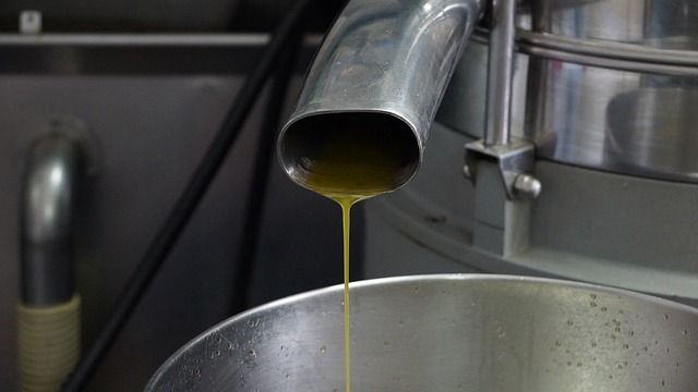 La profesionalidad del maestro de almazara para obtener aove