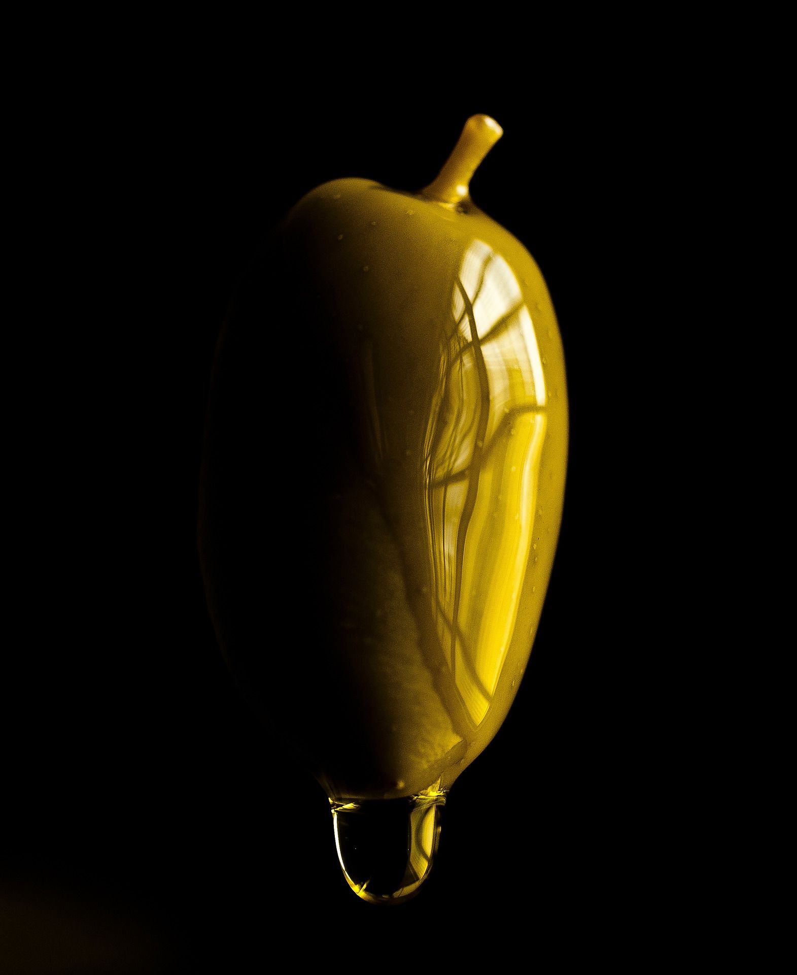 Historia del Aceite de Oliva y Cultivo del Olivo